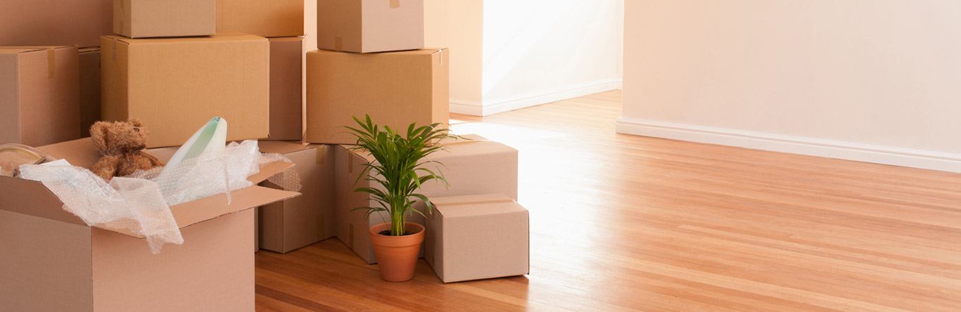 boxes in empty home